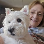 Cindy Singletary Russell - @clrdesk - Instagram