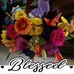 Cindy Singleton - @cavemom07 - Instagram
