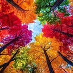 Cindy Smart - Facebook