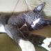 Cindy Spaulding - Facebook