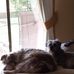 Cindy Spaulding - Facebook