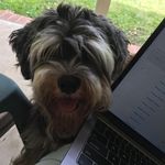 Cindy Kirksey Speed - @cindy.k.speed - Instagram