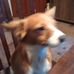Cindy Standridge - Facebook