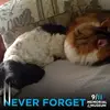 Cindy Standridge - @cindystandridge - TikTok