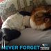 Cindy Standridge - Facebook