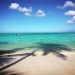 Cindy Staples - @cimbaloushoes - Instagram