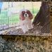Cindy Staton - Facebook