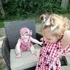 Cindy Stevens4113 - @cindystevens4113 - TikTok