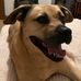 Cindy Stevens - Facebook