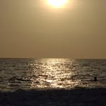 Cindy Stevens - @cindy.stevens.585 - Instagram
