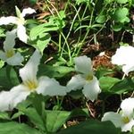 Cindy Stevens - @cindy.stevens.1029 - Instagram
