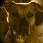 Cindy Stevens - @freebird_cindy - Instagram
