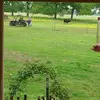 Cindy Stevens - @cindystevens00 - TikTok