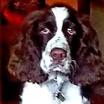 Cindy Stevens - @cindy.stevens.75 - Instagram