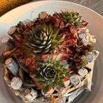 Cindy Stier - @dittmann_1974 - Instagram