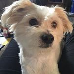 Cindy Stier - @cassindy.stier.35 - Instagram