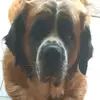 Cindy Stierholz - @cindystierholz - TikTok