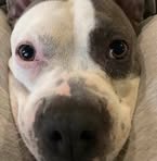 Cindy Still - Facebook
