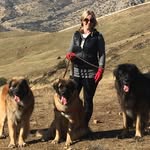 Cindy Stratton - @monarchleos - Instagram
