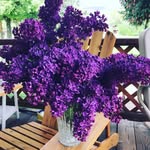 Cindy Streeter - @cinder57lyn - Instagram