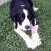 Cindy Strobel - Facebook