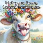 Cindy Sumner - @mooselver - Instagram