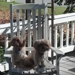 Cindy Sumner - @cindysumner61 - Instagram