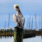 Cindy Sumner - Facebook
