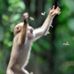 Cindy Swank - Facebook