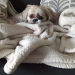 Cindy Sweeney - @sweeney.cindy - Instagram
