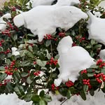 Cindy Sweeney - @grammageorge48 - Instagram