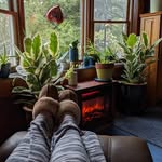 Cindy Sweeney - @auraheal - Instagram
