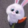 Cindy Sweeney - @snowball184748 - TikTok