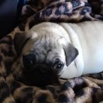 Cynthia Sweeney - @cindy__sweeney - Instagram