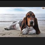 Cindy Swift - @cindyswift14 - Instagram