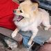 Cindy Swift - Facebook