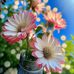 Cindy Swift - Facebook