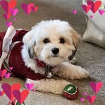 Cindy Davis Tait - @cindy.tait - Instagram