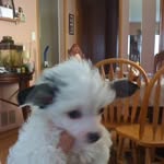 Cindy Tait - @cindytait2001 - Instagram