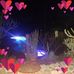 Cindy Tait - Facebook
