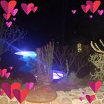 Cindy Tait - @mcdanielcindy75 - Instagram