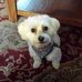 Cindy Tait - Facebook