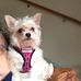 Cindy Tait - Facebook
