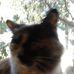 Cindy Tait - Facebook