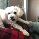 Cindy Tatum Blane - @blanecindy - Instagram