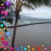 Cindy Templeton - Facebook