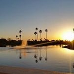 Cindy Templeton - @cindyltemp - Instagram