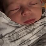 Cindy Templeton Nerad - @neradcindy - Instagram