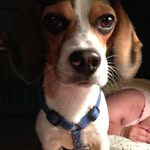 Cindy Theisen Jensen - @cindytheisenjensen - Instagram