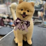 Cindy Ting - @cindyting579 - Instagram